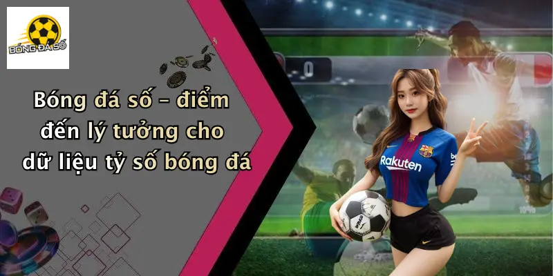 Bóng đá số – điểm đến lý tưởng cho dữ liệu tỷ số bóng đá