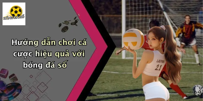Bóng Đá Số
