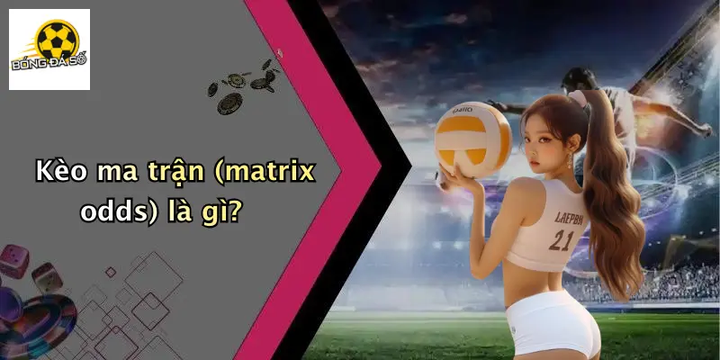 Kèo ma trận (matrix odds) là gì?