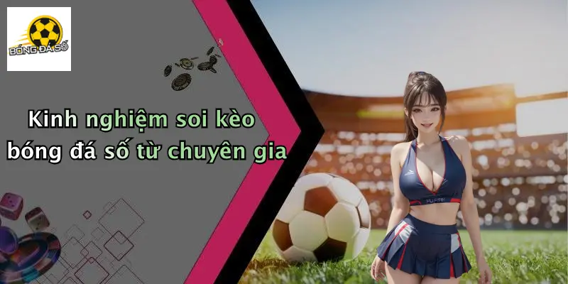 Kinh nghiệm soi kèo bóng đá số từ chuyên gia