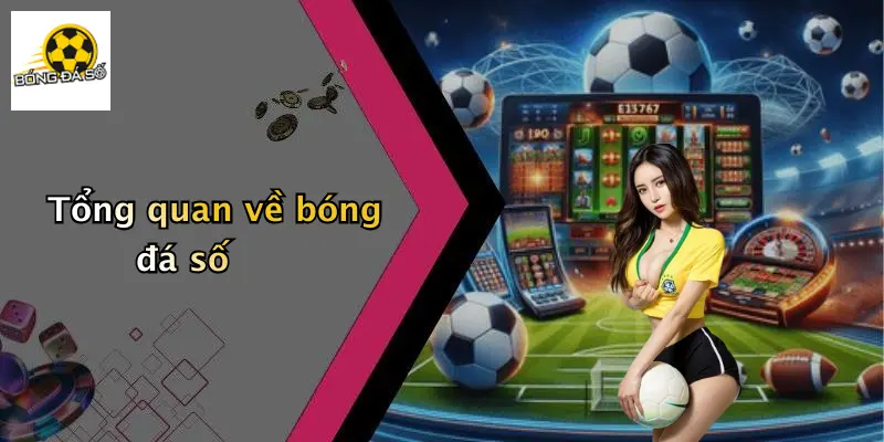 Bóng Đá Số