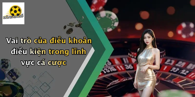 Vai trò của điều khoản điều kiện trong lĩnh vực cá cược