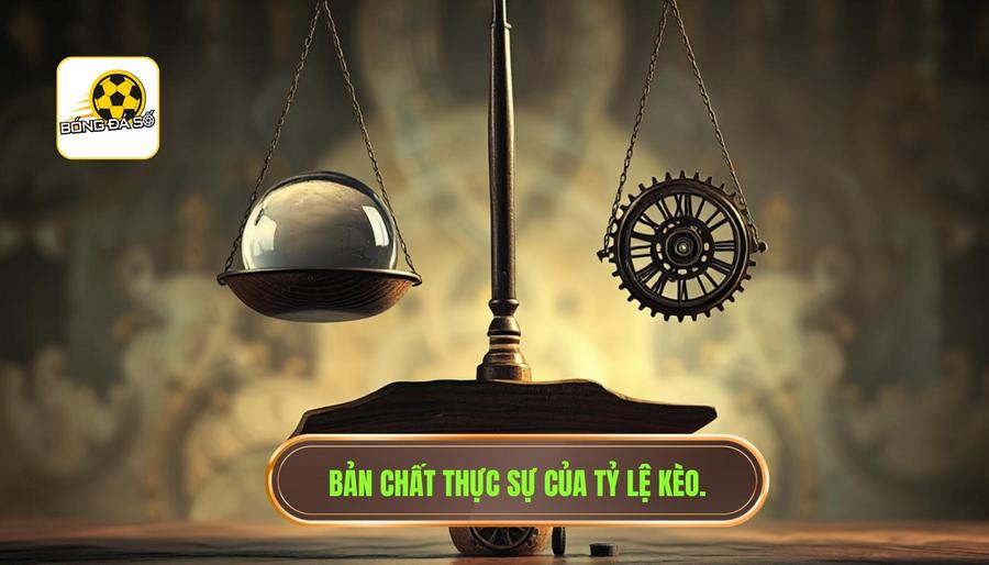 1. Bản chất của tỷ lệ kèo: Không phải là dự đoán thực tế