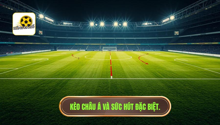 Cách đọc kèo châu Á cực chuẩn từ chuyên gia BÓNG ĐÁ SỐ 1 Kèo châu Á là gì? Tại sao nó lại thu hút người chơi?