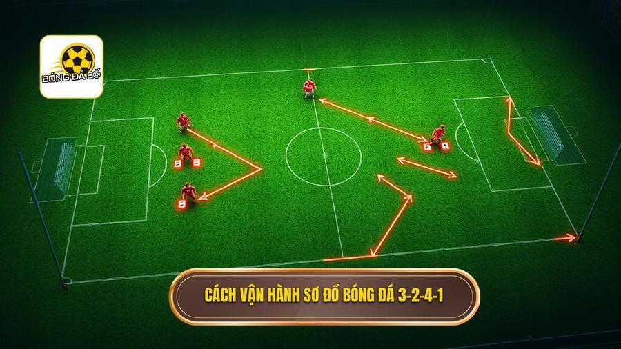 Cách vận hành chi tiết của chiến thuật bóng đá 3-2-4-1