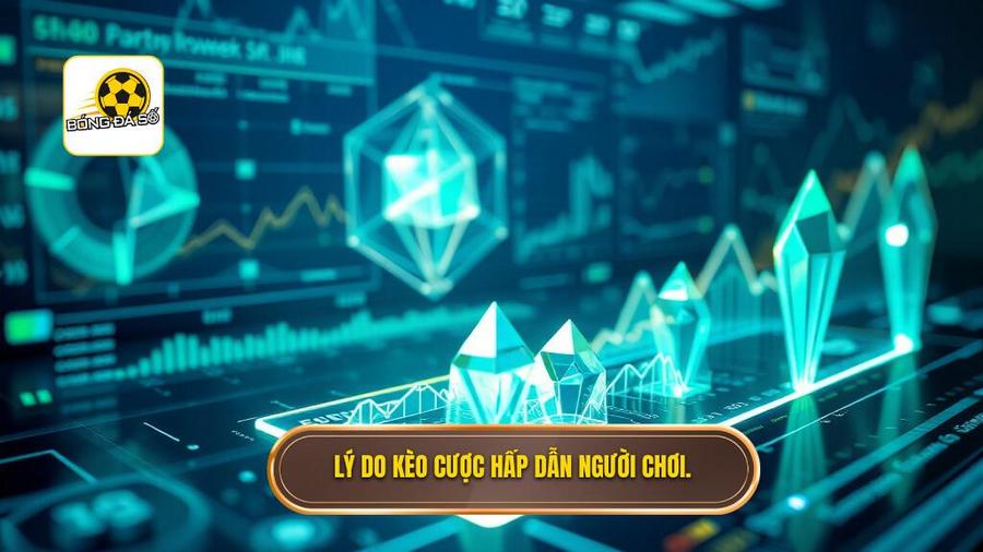 Phân tích đa chiều: Tại sao kèo này lại hấp dẫn?